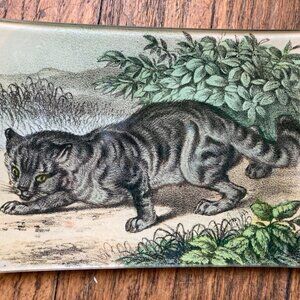 Cat Art Trinket Tray by John Derian